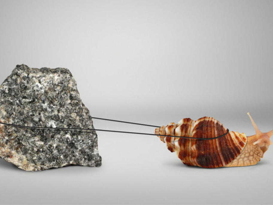 snail dragging a rock