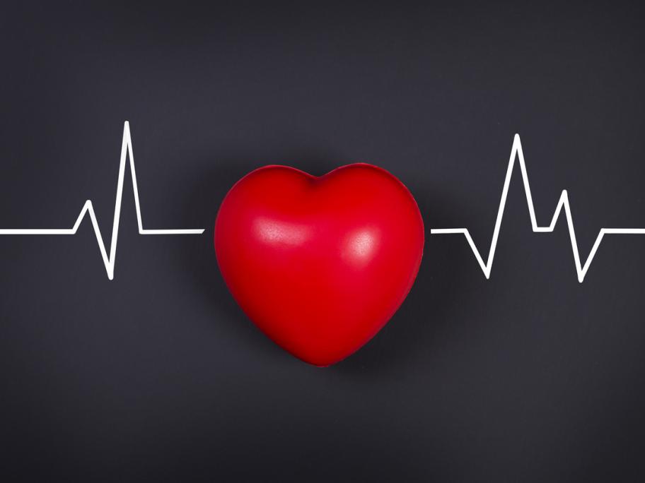 Heart