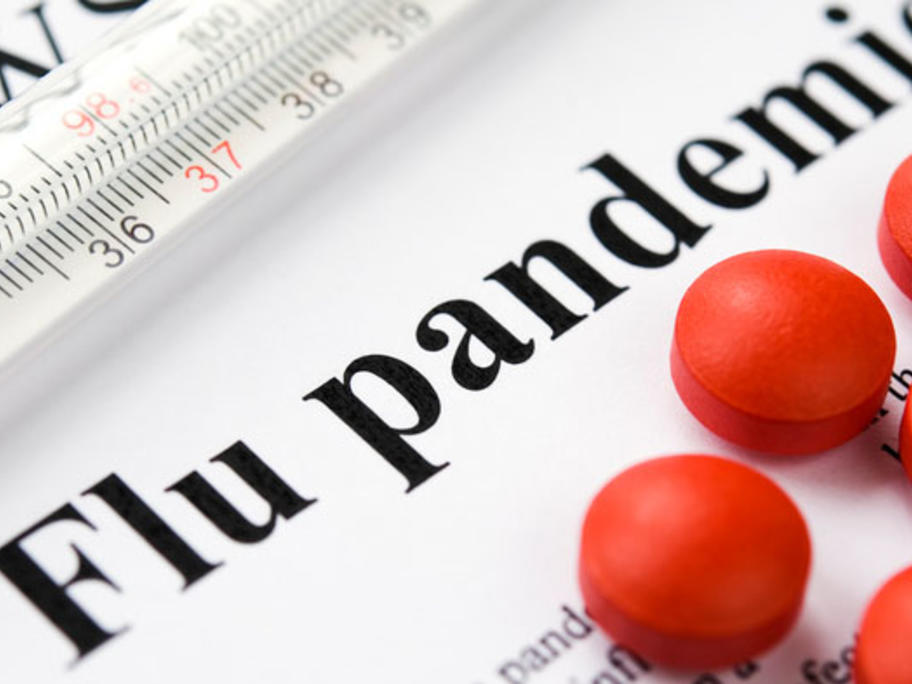 Flu pandemic