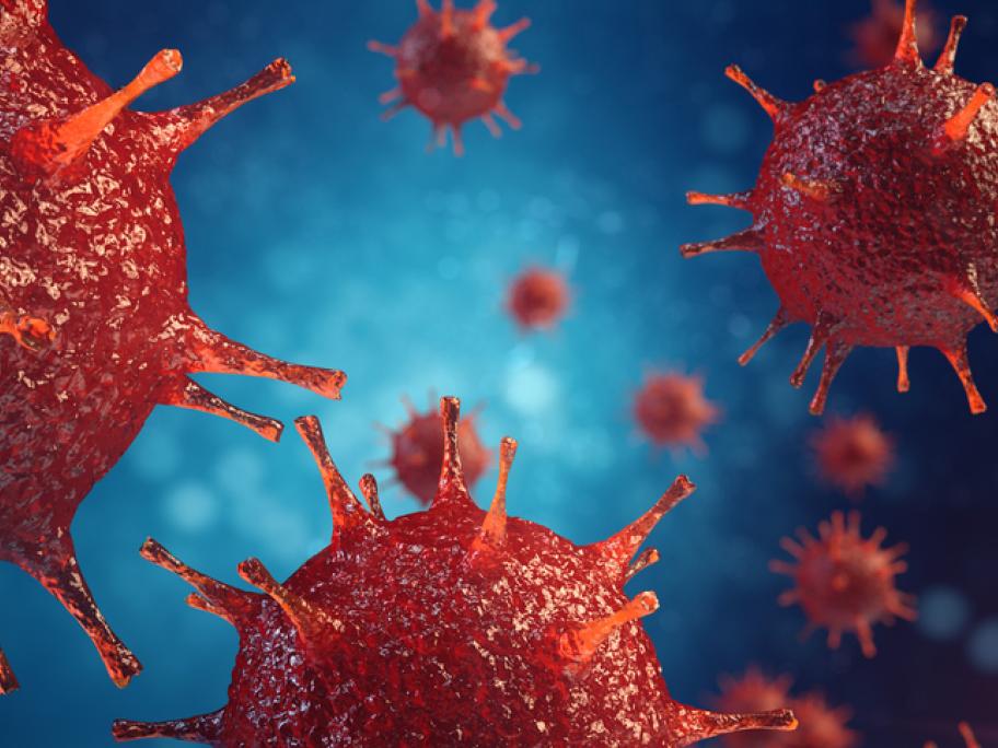 8 findings for Australia's flu surveillance system