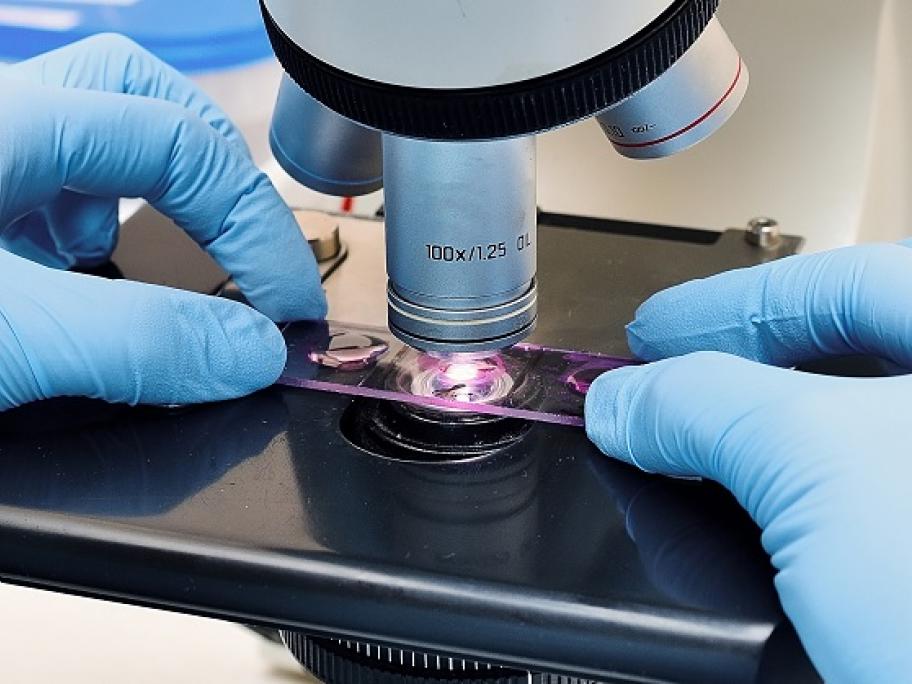 microbiology