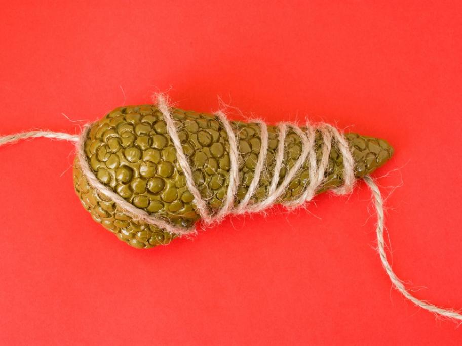 pancreas concept