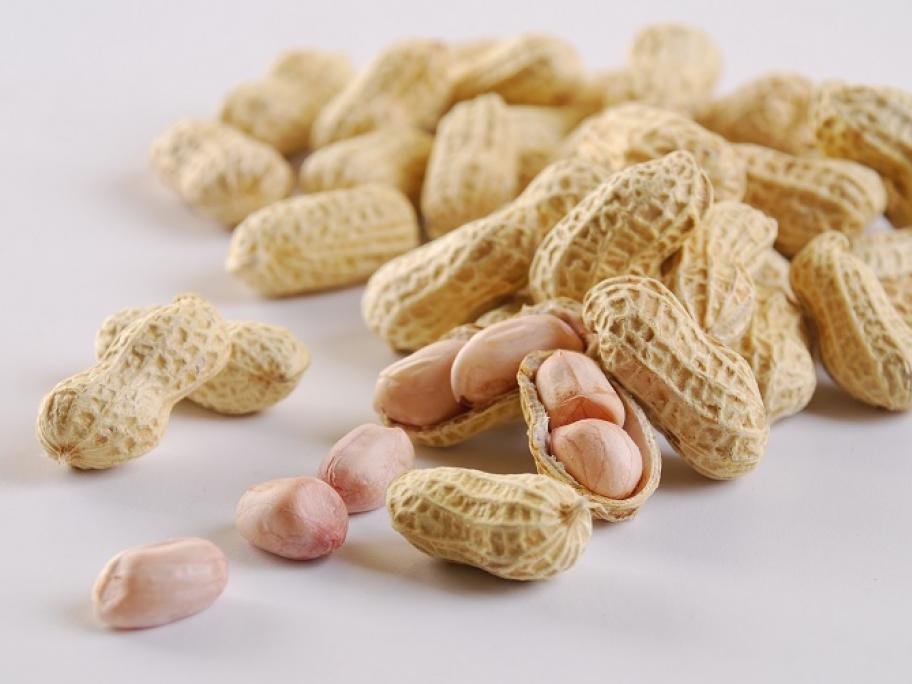 peanut