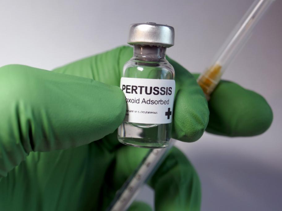 Pertussis vaccine at birth is safe, say Aussie researchers