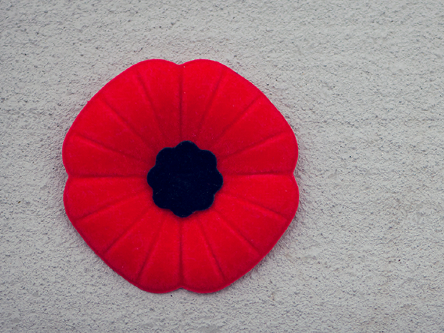 poppy