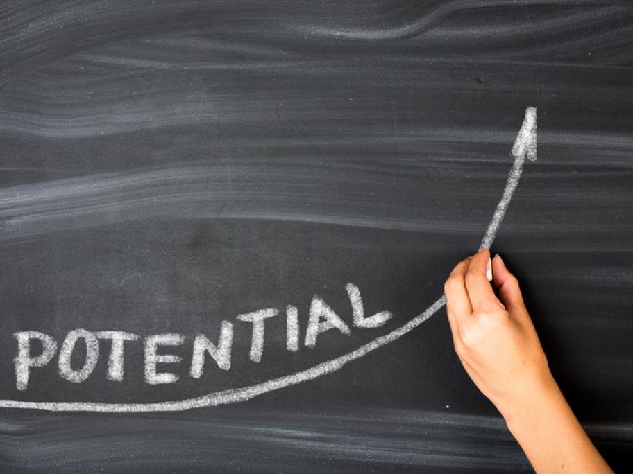 What are the key character traits of a successful pharmacist?