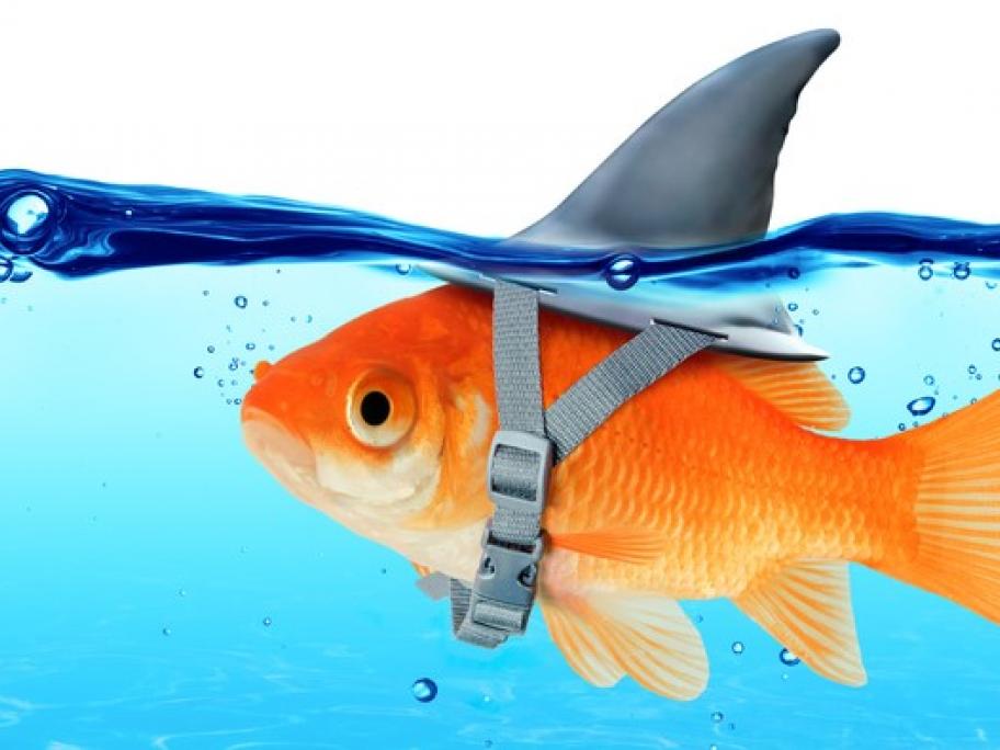 Tambassis angered and astonished by bid to increase repeat quantities