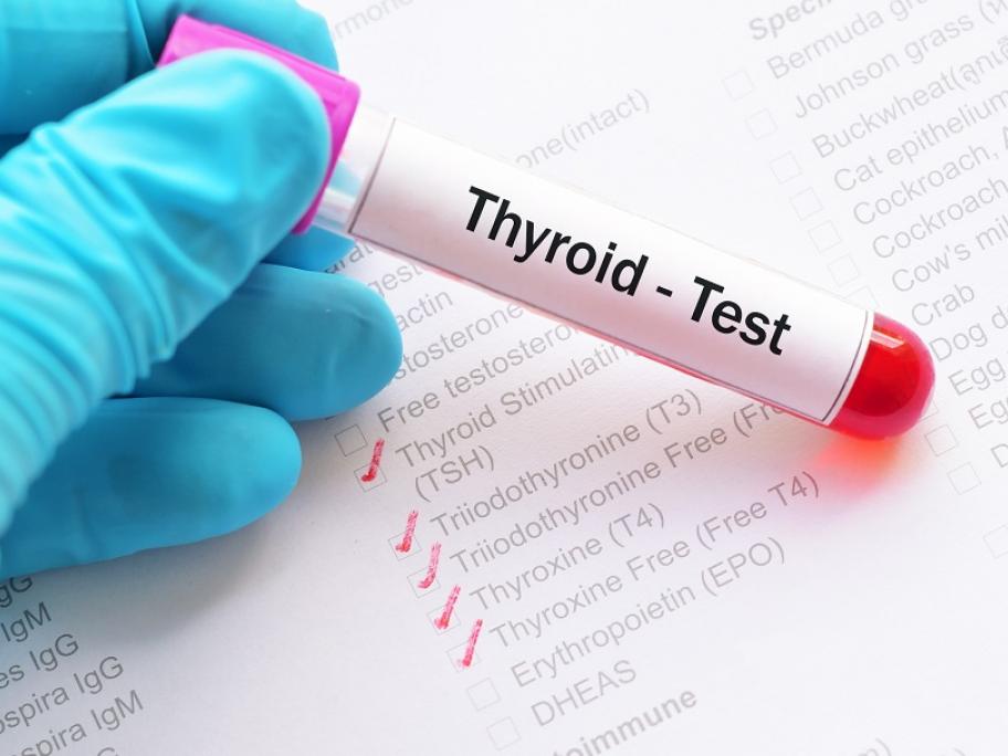 thyroid concept
