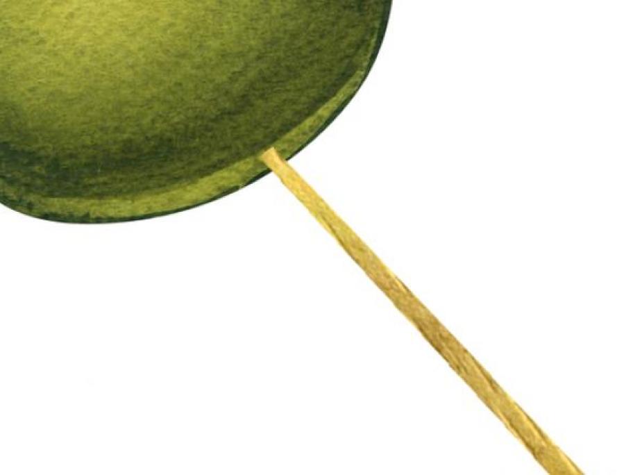 Toothpick discovery solves gut pain mystery