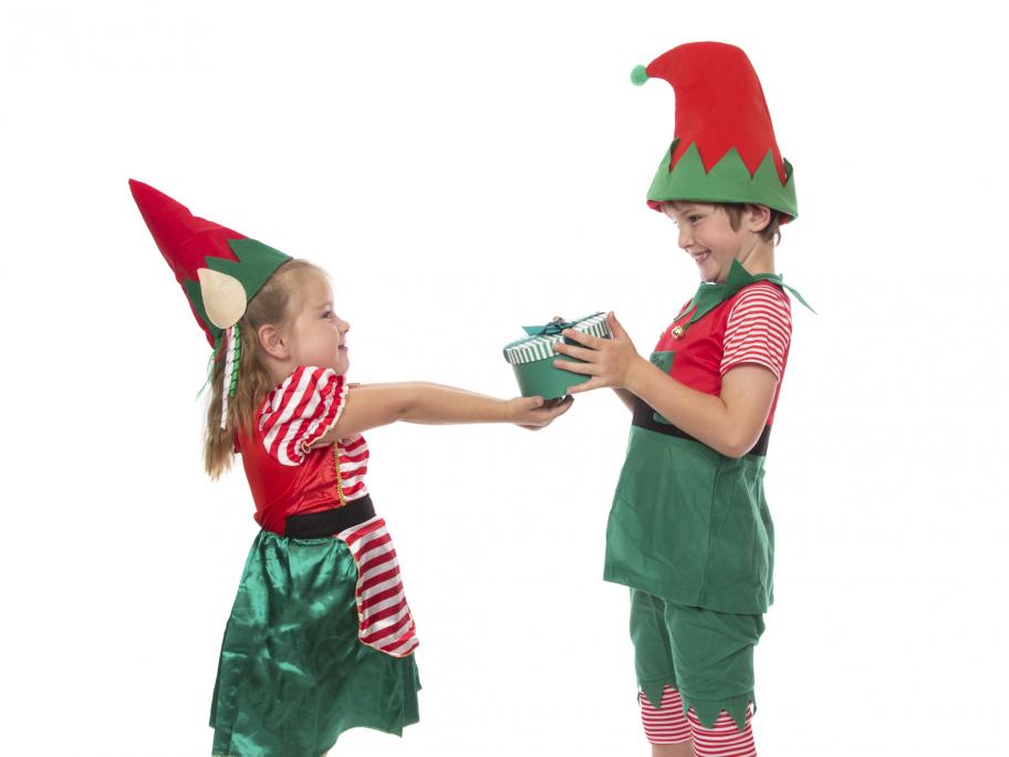 Elves