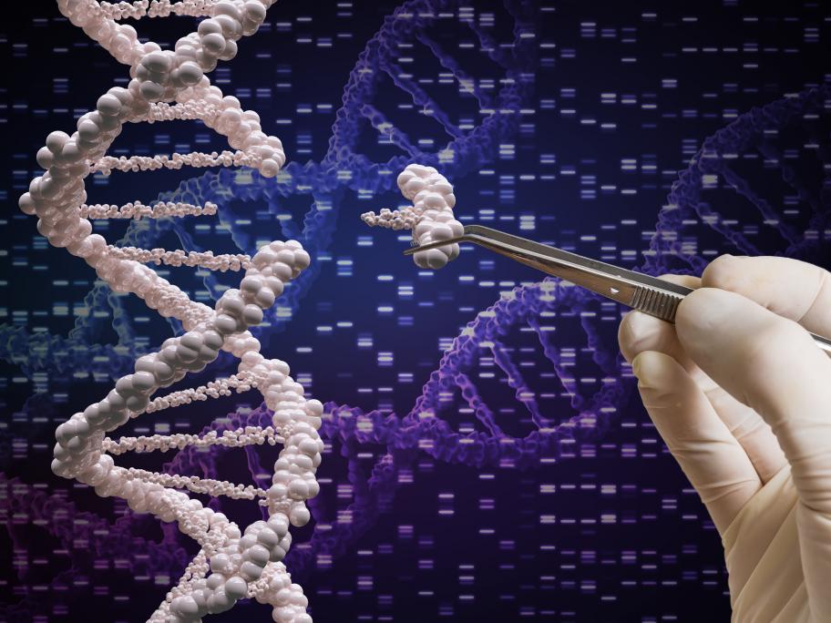 Genetics