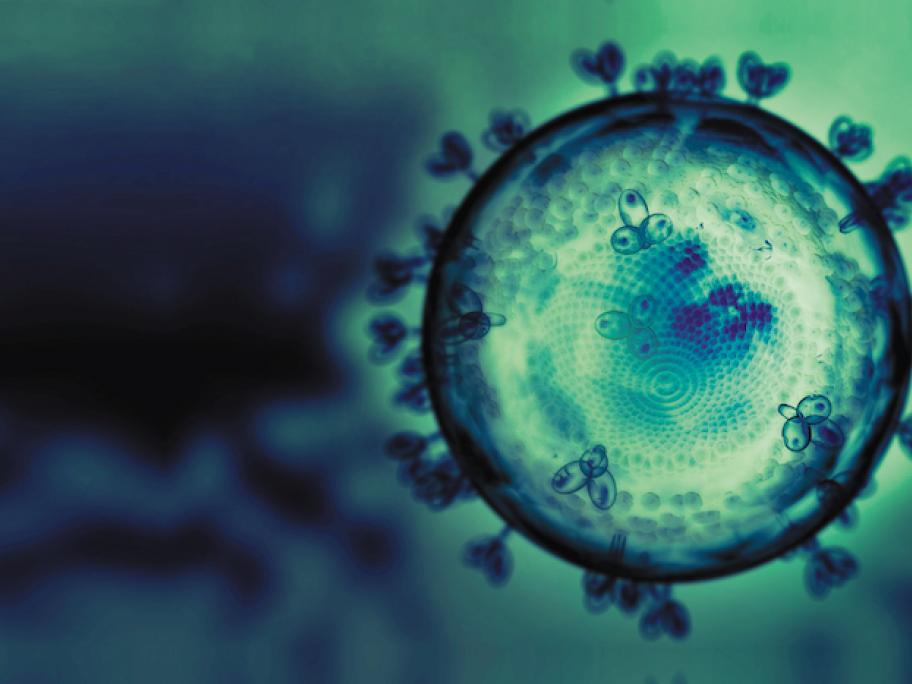 HIV virus