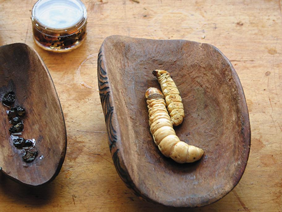 Indigenous food