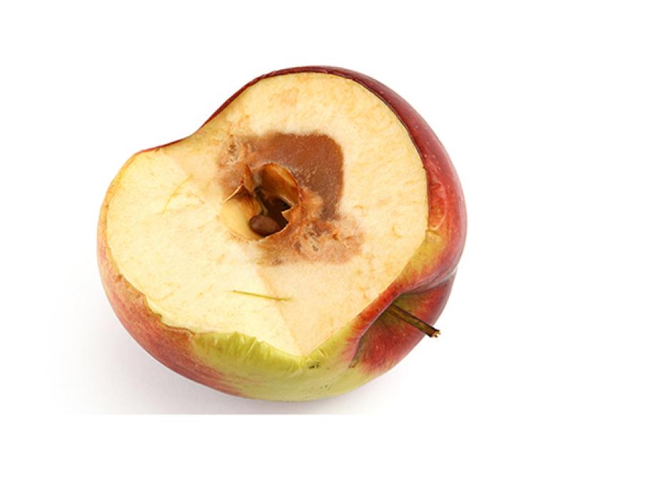 rotten apple
