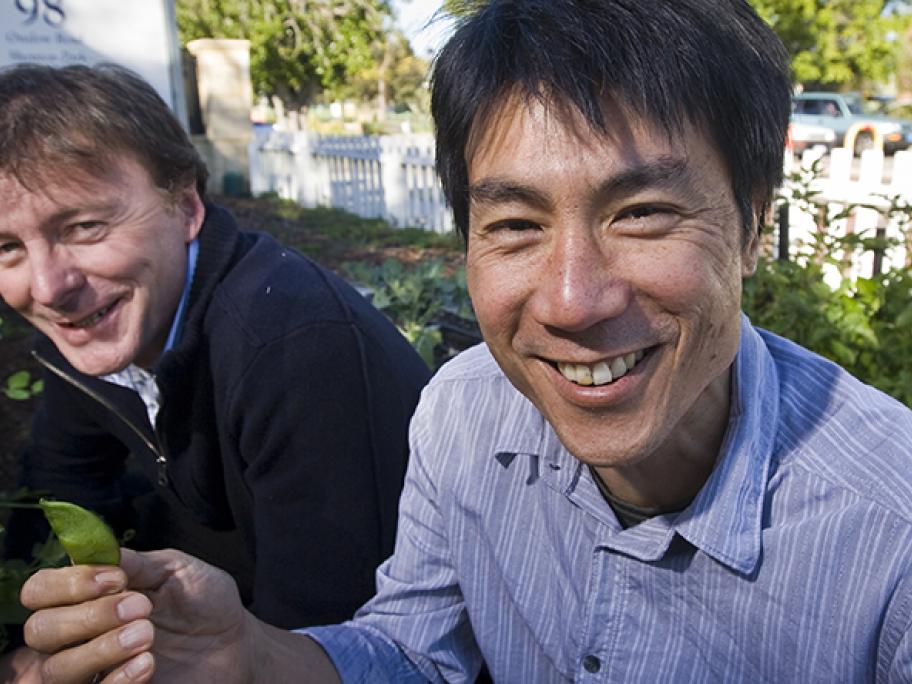 Dr Crisp and Dr Yin