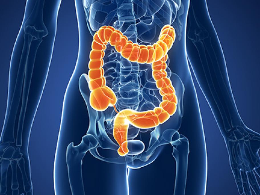 bowel
