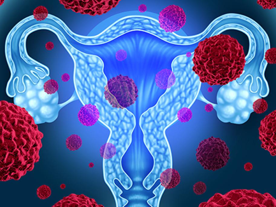 Cervix