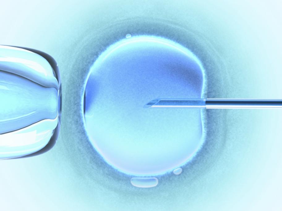 IVF