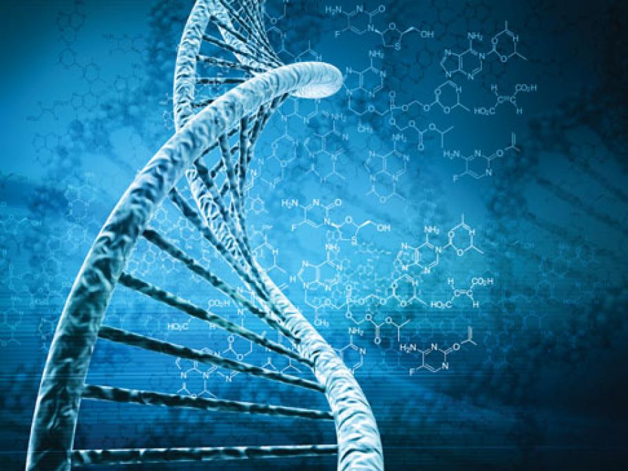 DNA molecule