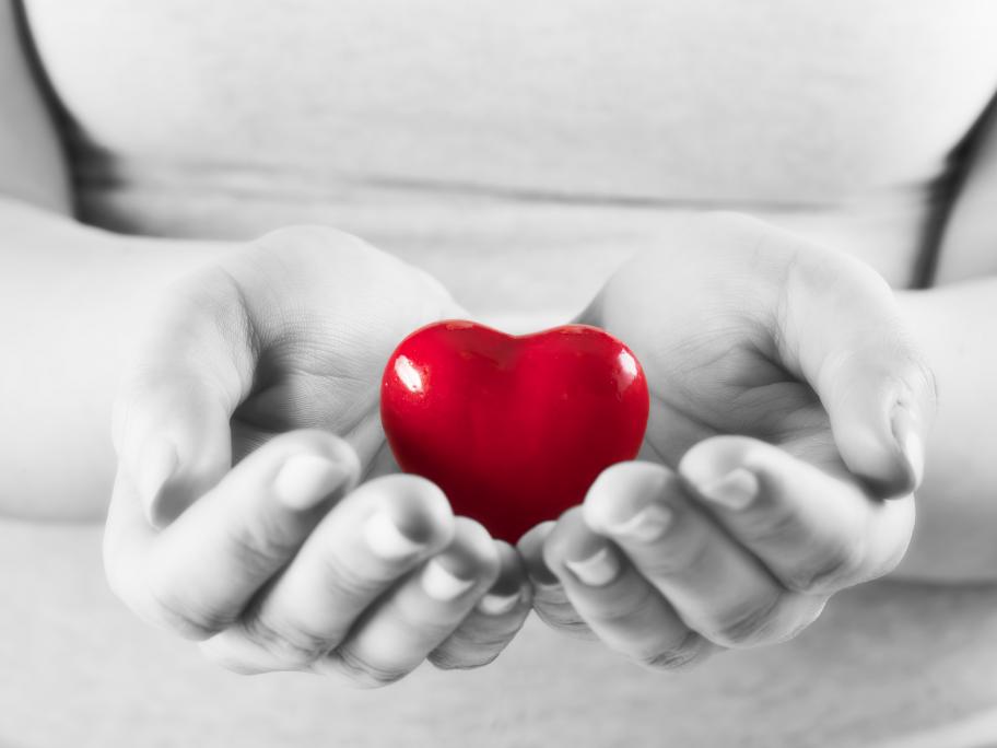 Heart in hands