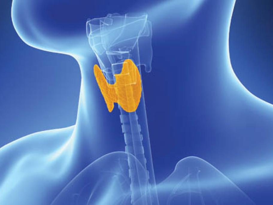 thyroid concept pic
