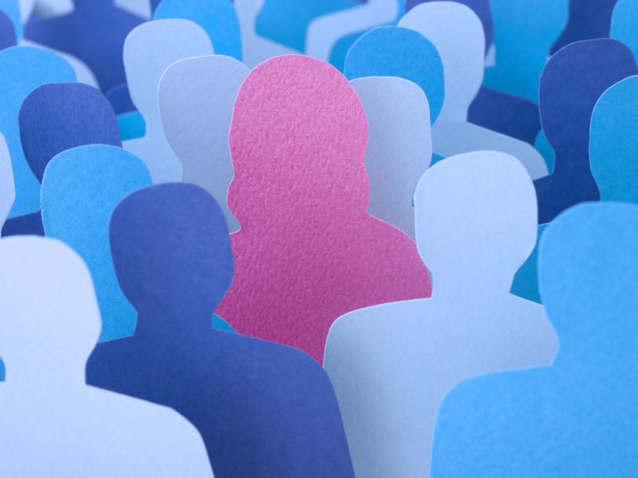 Pink sillhouette of woman stands out from crowd of blue male sillhouettes