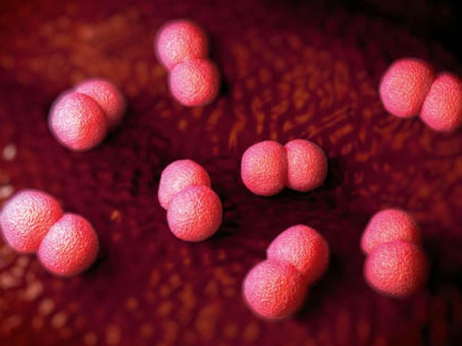 Meningococcal B vaccine